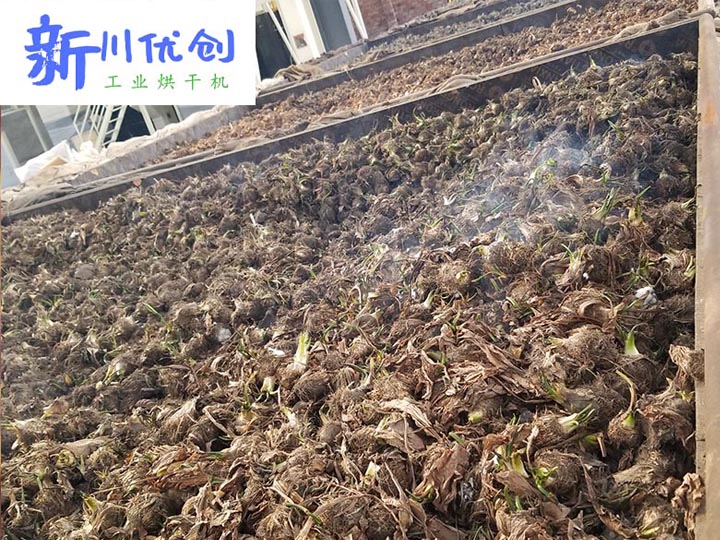 熱風烘干床