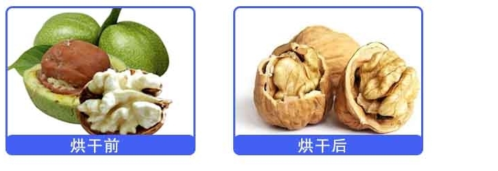 核桃烘干對比.jpg